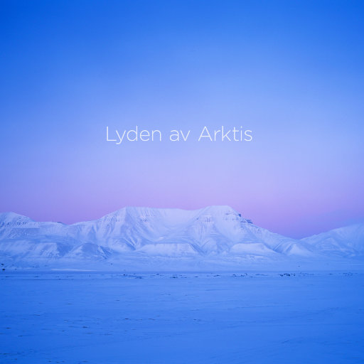 拉斯·托雷森: 北极之声 (The Sound of the Arctic)(352.8kHz DXD)