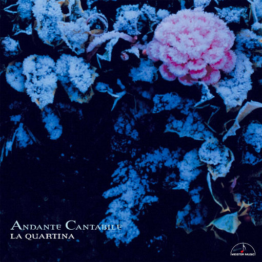 如歌的行板 - 四把大提琴重奏作品 (Andante Cantabile) (5.6MHz DSD)