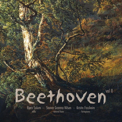 Beethoven Sonatas vol II
