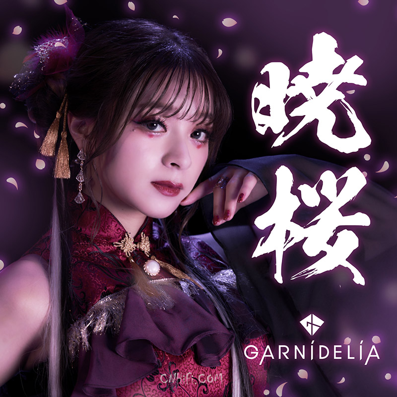 暁桜  - GARNiDELiA