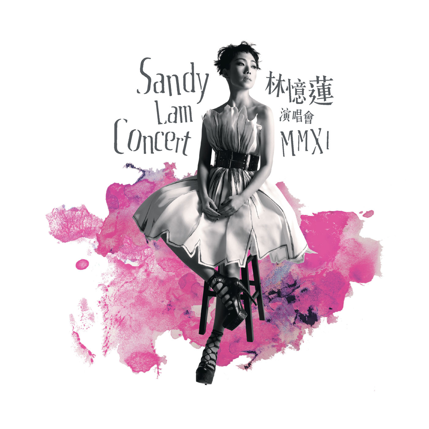 Sandy Lam Concert Mmxi演唱会