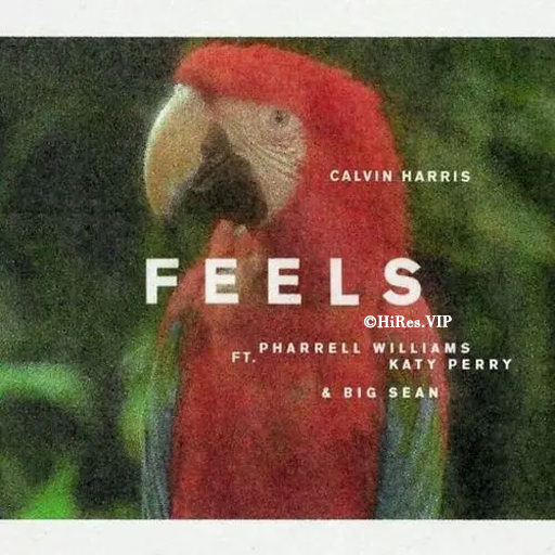 Feels-Calvin Harris