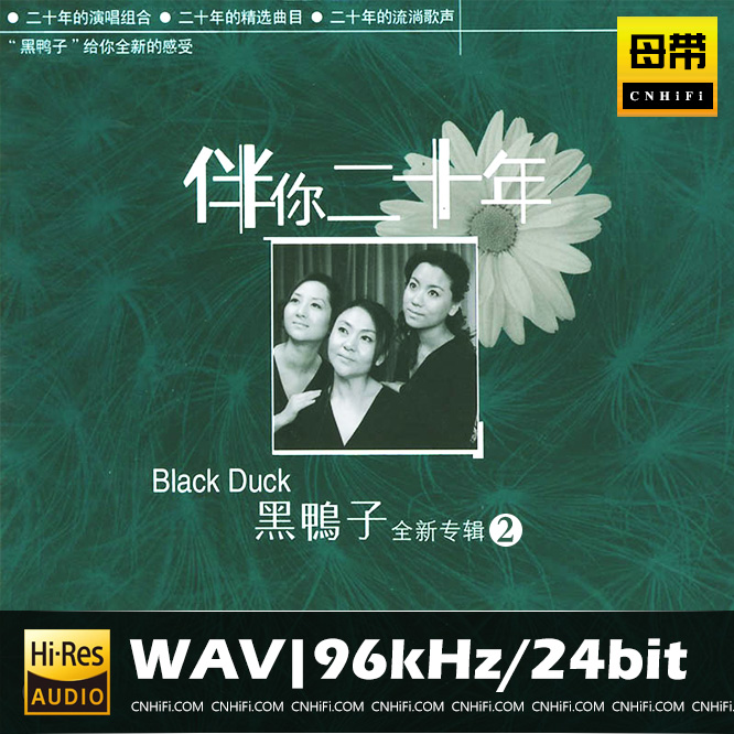 伴你二十年-黑鸭子最新专辑2